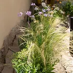 Antica Dimora Del Platano - F4856
